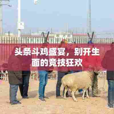头条斗鸡盛宴，别开生面的竞技狂欢