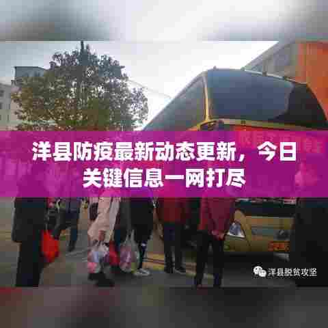 洋县防疫最新动态更新，今日关键信息一网打尽