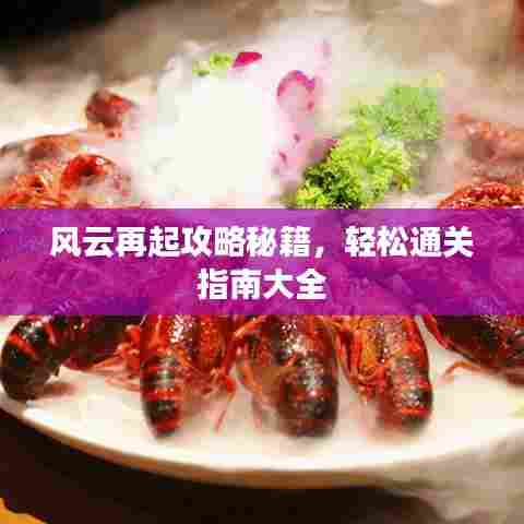 风云再起攻略秘籍，轻松通关指南大全