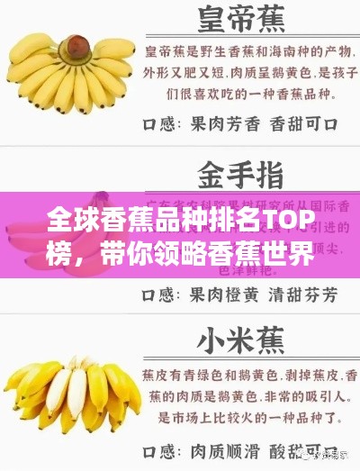 全球香蕉品种排名TOP榜，带你领略香蕉世界的魅力