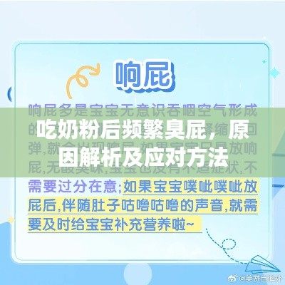 吃奶粉后频繁臭屁，原因解析及应对方法