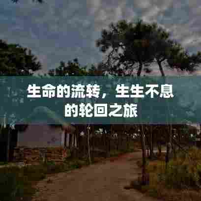 生命的流转，生生不息的轮回之旅