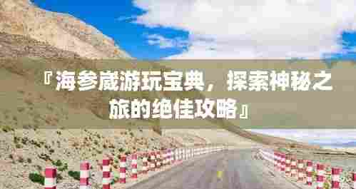 『海参崴游玩宝典，探索神秘之旅的绝佳攻略』