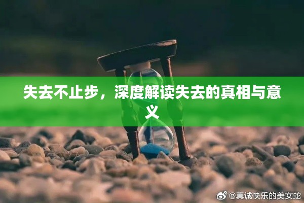 失去不止步，深度解读失去的真相与意义