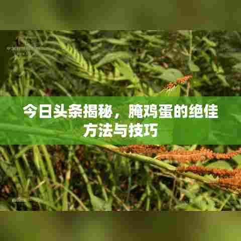 今日头条揭秘，腌鸡蛋的绝佳方法与技巧