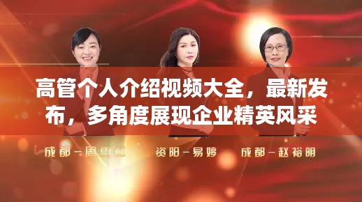 高管个人介绍视频大全，最新发布，多角度展现企业精英风采