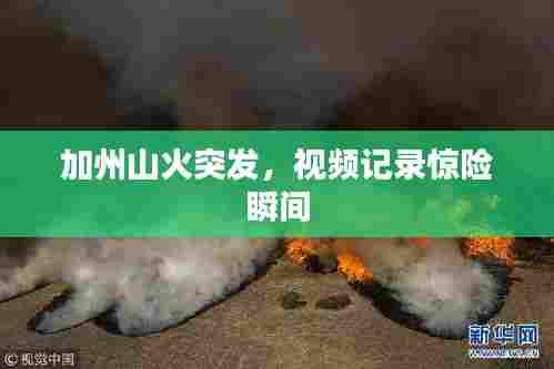 加州山火突发，视频记录惊险瞬间