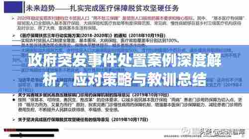 政府突发事件处置案例深度解析，应对策略与教训总结