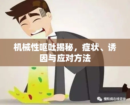 机械性呕吐揭秘，症状、诱因与应对方法