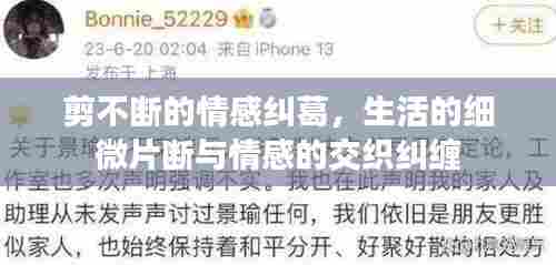 剪不断的情感纠葛，生活的细微片断与情感的交织纠缠