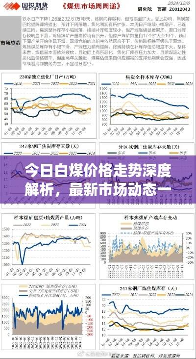 今日白煤价格走势深度解析，最新市场动态一网打尽！