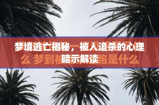 梦境逃亡揭秘，被人追杀的心理暗示解读