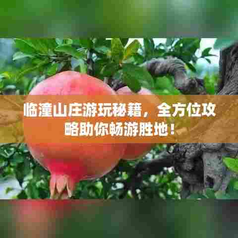 临潼山庄游玩秘籍，全方位攻略助你畅游胜地！