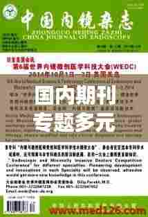 国内期刊专题多元发展及其深远影响探究