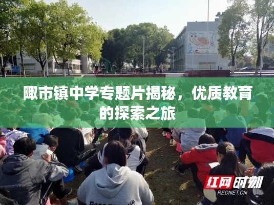 陬市镇中学专题片揭秘，优质教育的探索之旅