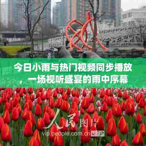 今日小雨与热门视频同步播放，一场视听盛宴的雨中序幕