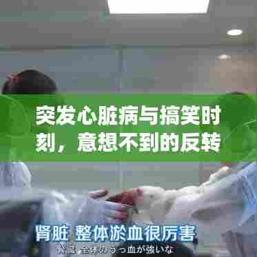 突发心脏病与搞笑时刻，意想不到的反转瞬间