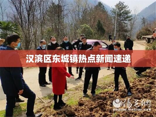 汉滨区东城镇热点新闻速递