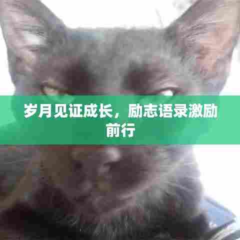 岁月见证成长，励志语录激励前行