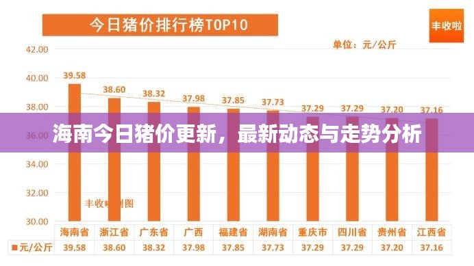 海南今日猪价更新，最新动态与走势分析
