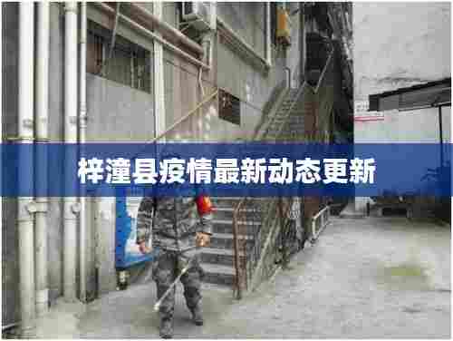 梓潼县疫情最新动态更新