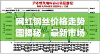 网红钢丝价格走势图揭秘，最新市场分析预测报告出炉！