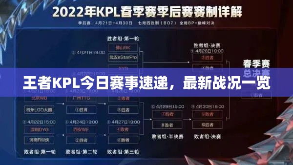 王者KPL今日赛事速递，最新战况一览