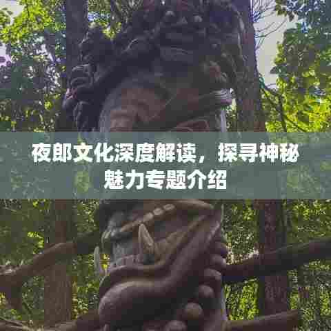 夜郎文化深度解读，探寻神秘魅力专题介绍