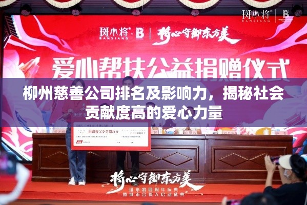 柳州慈善公司排名及影响力，揭秘社会贡献度高的爱心力量