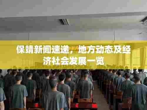 保靖新闻速递，地方动态及经济社会发展一览