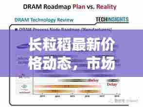 长粒稻最新价格动态，市场走势揭秘，影响因素深度剖析
