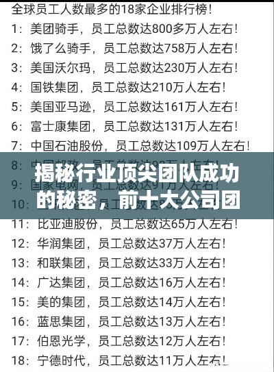 揭秘行业顶尖团队成功的秘密,前十大公司团队排名解析