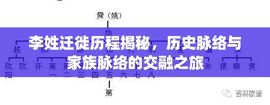 李姓迁徙历程揭秘，历史脉络与家族脉络的交融之旅