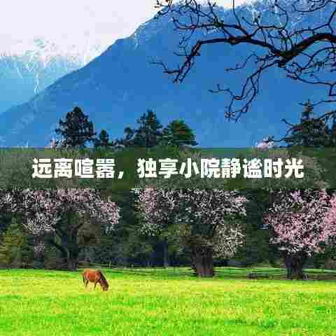 远离喧嚣，独享小院静谧时光