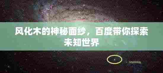 风化木的神秘面纱，百度带你探索未知世界