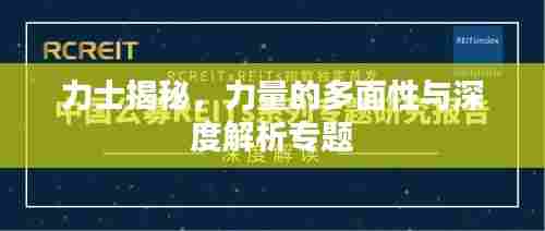 力士揭秘，力量的多面性与深度解析专题