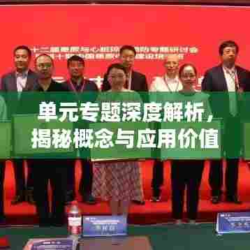 单元专题深度解析，揭秘概念与应用价值