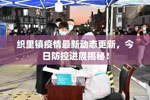 织里镇疫情最新动态更新，今日防控进展揭秘！