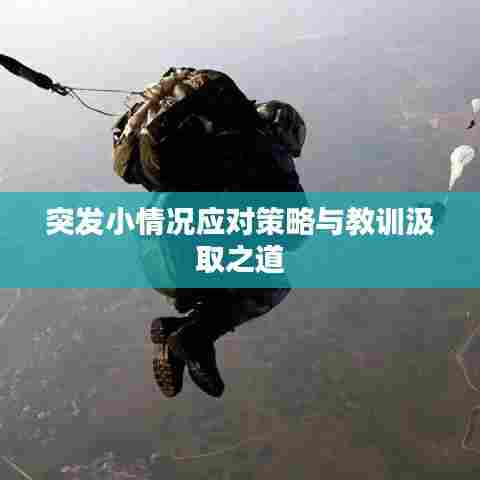 突发小情况应对策略与教训汲取之道