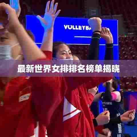 最新世界女排排名榜单揭晓