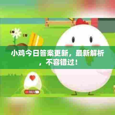 小鸡今日答案更新，最新解析，不容错过！