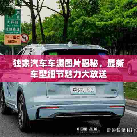 独家汽车车源图片揭秘，最新车型细节魅力大放送