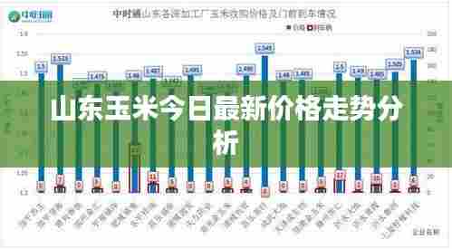 山东玉米今日最新价格走势分析
