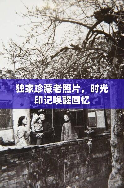 独家珍藏老照片，时光印记唤醒回忆