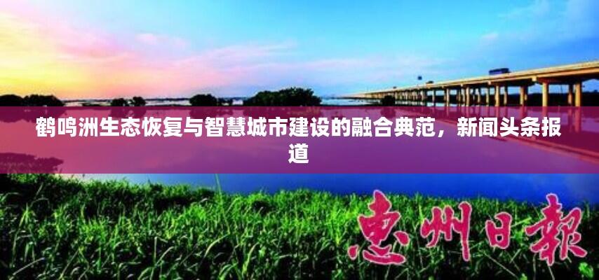 鹤鸣洲生态恢复与智慧城市建设的融合典范，新闻头条报道