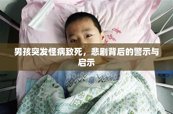 男孩突发怪病致死，悲剧背后的警示与启示