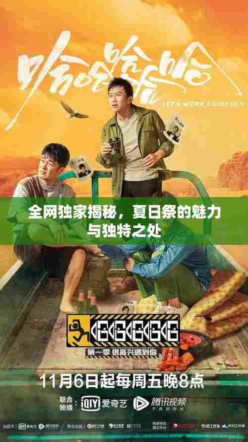 全网独家揭秘，夏日祭的魅力与独特之处