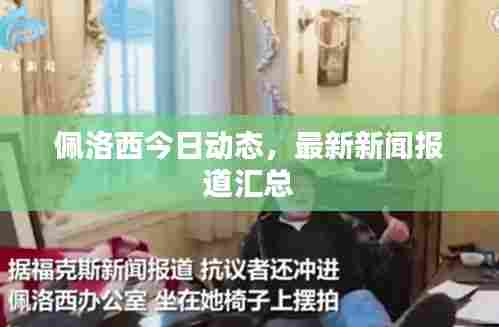 佩洛西今日动态,最新新闻报道汇总