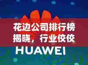 花边公司排行榜揭晓，行业佼佼者一览无余！