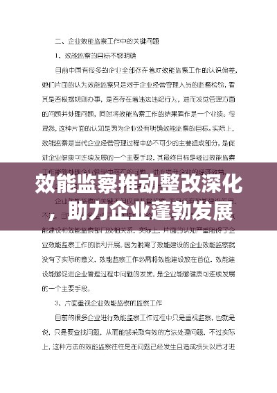 效能监察推动整改深化，助力企业蓬勃发展